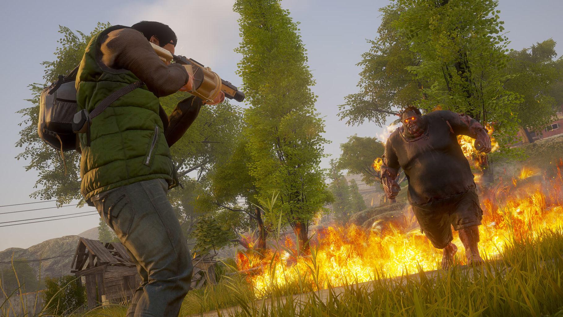 state of decay 3 co op