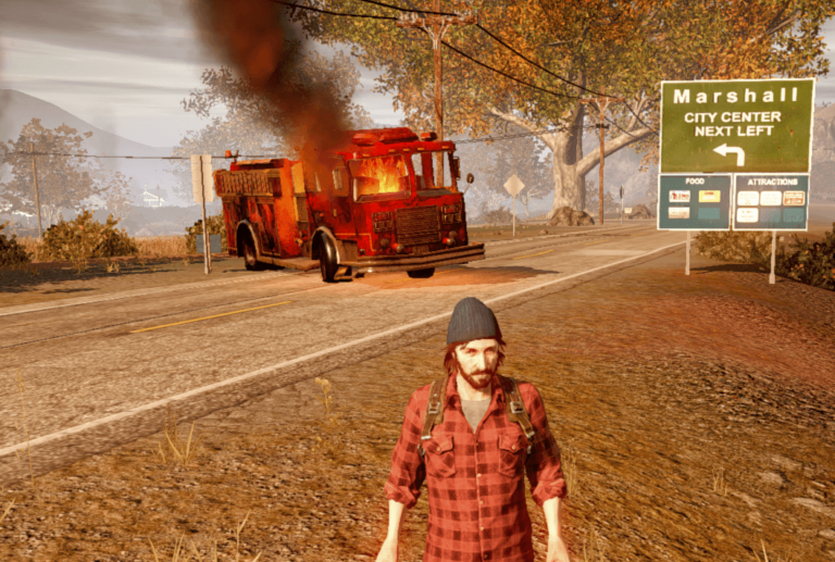 steam api.dll for state of decay